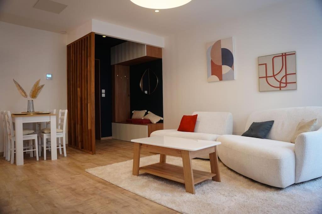 Bel Appartement Centre-Ville Saint-Etienne  Kültér fotó